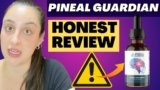 Pineal Guardian Review 2025: Detox or Just Hype?